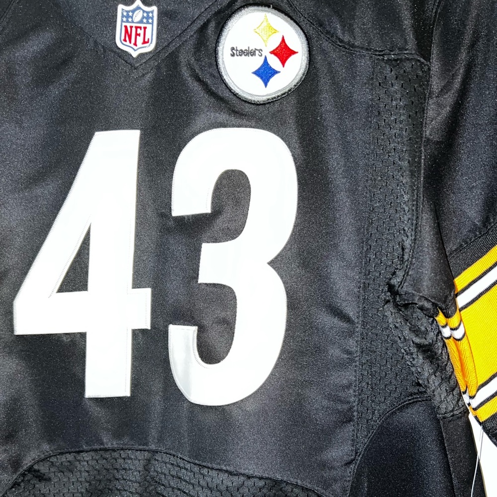 Polamalu Steelers jersey